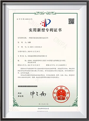 DINIS company certificate