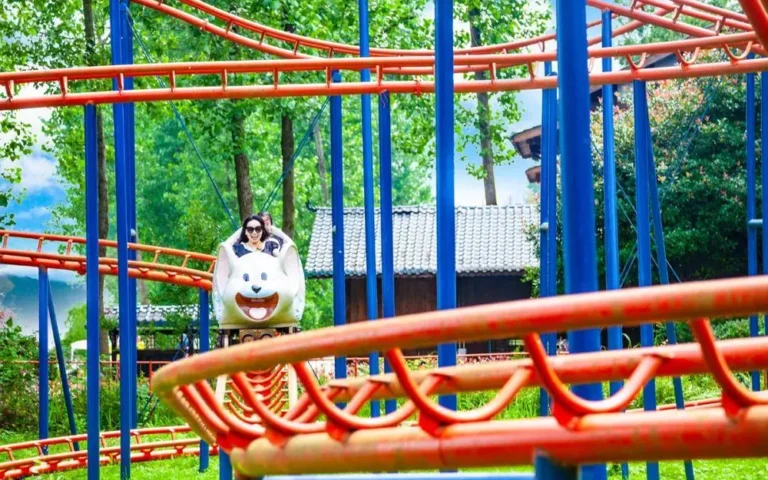 Roller Coasters rides built by DINIS