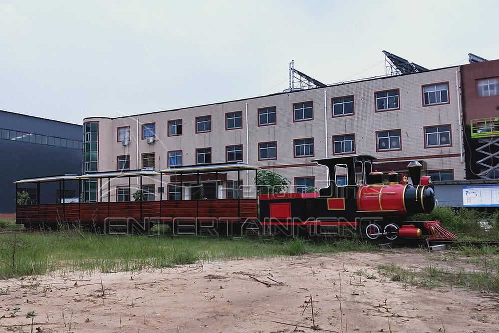 Roofed carriages of a rail sightseeing train